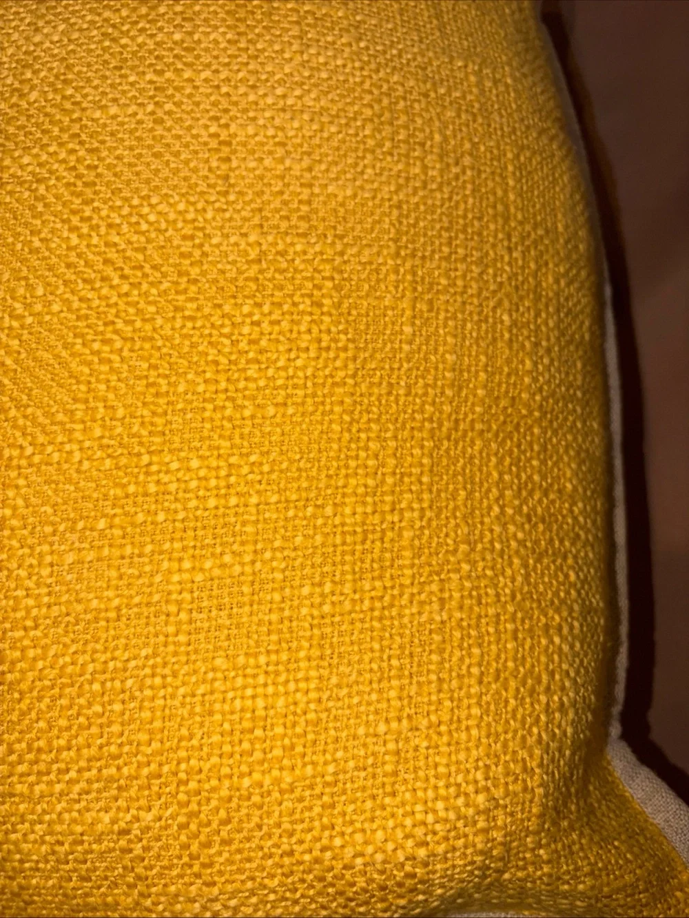 Pottery Barn Throw Pillow Cotton Yellow Duck 20x20